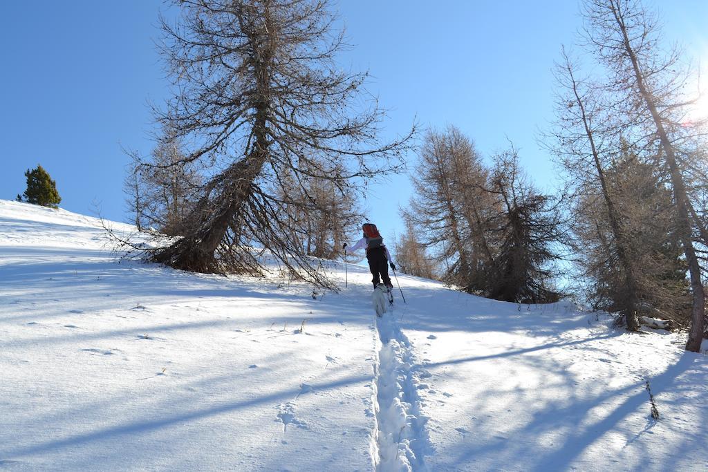 Gite Des Monges Sisteron Ngoại thất bức ảnh