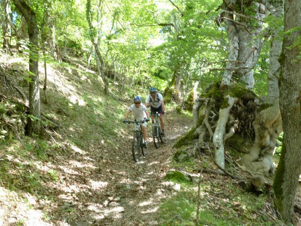Gite Des Monges Sisteron Ngoại thất bức ảnh