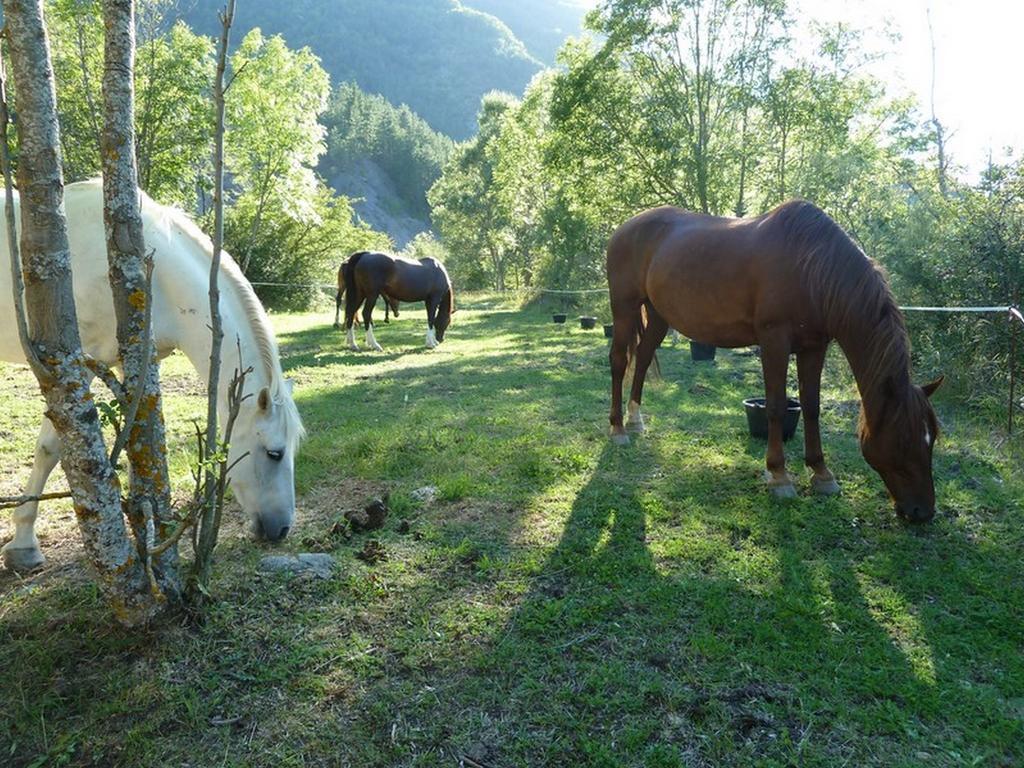 Gite Des Monges Sisteron Ngoại thất bức ảnh